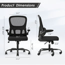 Ergonomic Mesh Office Chair with Lumbar Support