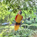 Lifelike Parrot Garden Statues Hanging Decor Ornaments Figurines Sculpture for Patio Lawn Yard, Blue Tail (Red Tail) by GreenHaven Gardens