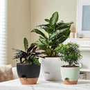 FaithLand 3-Pack Planter Pots, 10 9 8 Inch Self Watering Flower Pots for Indoor Outdoor Garden Plants, Black by CozyNest Decor