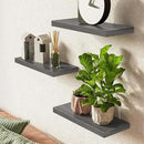 BAYKA Floating Shelves for Wall, 22.5 inches Wall Mounted Rustic Wood Shelves for Bathroom, Bedroom, Living Room, Floating Shelves for Books/Storage/Decor (Grey,Set of 3) by CozyNest Decor