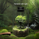 Desktop Glass Plant Terrarium with Grow Light (H:9.8" D:5.9"), for Succulent, Moss, Miniature Gardening Landscape, Betta Fish Tank, Indoor Plant Growth, Office Home Decoration, Plant Lovers Gifts by GreenHaven Gardens