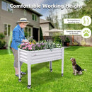 A ANLEOLIFE 2-Set Galvanized Raised Garden Bed with Legs,48x24x35in Large Elevated Planter Box on Wheels with Drainage Holes for Backyard, Balcony, Patio, 600lb Capacity, Antique White by GreenHaven Gardens