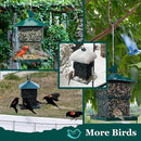 Bird Feeders for Outdoors, 6.5lb Large Capacity, Heavy Duty Metal Bird Feeder, Supports Cardinal, Finch, Blue Jay and Wild Birds(Green) by CozyNest Decor