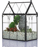 NCYP Black Glass Terrarium with Lid, Indoor Geometric Planter for Cacti, Air Plants, Succulents, Insect, Snail, House Shape Closed Box 7.5" x 4.9" x 9" (No Plant Included) by GreenHaven Gardens