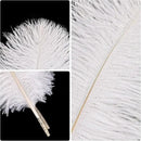 THARAHT White Ostrich Feathers 12pcs Natural Bulk 8-10Inch 20cm-25cm for Crafts Wedding Party Centerpieces Christmas Tree Decoration Feathers by CozyNest Decor