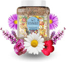 Regional Wildflower - Northeast USA Wildflowers - 100% Pure Seed - Organic, Non-GMO - 21 Wildflower Variety Seeds of Annual & Perennial, 1 LB Tub by GreenHaven Gardens