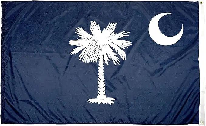 FlagSource South Carolina State Flag, Made in USA, 5x8', photo 2 of 6