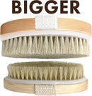 Dry Brushing Body Brush SCALA Natural Bristle Body Brush, Soft Body Exfoliating Brush Scrub for Dead Skin, Cellulite, Lymphatic Drainage, Blood Flow – Thicker & Stronger Medium Strength by CozyNest Decor