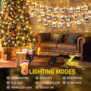 KNONEW Outdoor Christmas Lights 300 LED 99ft String Lights 8 Modes & Memory Fairy Light Plug in Waterproof LED String Lights for Xmas Yard Tree Wedding by GreenHaven Gardens