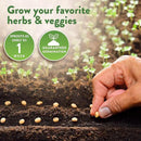 Home Grown 32,000+ Heirloom Seeds for Planting Vegetables and Herbs Bundle: 70 Unique Varieties - 100% Non-GMO Survival Seeds for Planting Indoor or Outdoors by GreenHaven Gardens