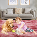 Luxury 3x5 Area Rug, Ultra Soft Rugs for Living Room, Plush Carpet Rugs for Bedroom, Non-Slip Indoor Rug for Nursery, Study Room, Playroom, Home Decor, Tie-Dyed Dark Pink by TinyTreasures Baby Boutique