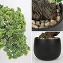 Artificial Bonsai Tree Juniper Faux Plants Indoor Fake Plants Decor with Black Ceramic Pots for Home Table Office Desk Bathroom Shelf Bedroom Living Room Farmhouse Decorations by GreenHaven Gardens