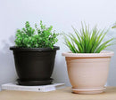 5 Packs 10 inch Plant Pots + Saucer, Planters for Indoor & Outdoor Plants with Drainage Holes | Plastic Flower Pots, Large Planter (Black, 10 inch) by GreenHaven Gardens