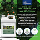 Aquascape 96026 Algaecide for Pond, Waterfall, and Water Features, 1-Gallon by GreenHaven Gardens
