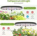 Indoor Hydroponics Growing System, 12 Pods Smart Herb Garden Planter with LED Grow Light Plant Germination Kit (No Seeds), Ideal Gift for Gardening Lovers, Gift Ideas for Women Men by GreenHaven Gardens