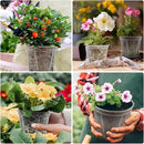 3.9-9.4 Inch Big Size Clear Nursery Pots with Drainage, 6 Sizes 30 Packs Nursery Garden Pots with 30 Plant Labels for Seedling Plants, Nursery Pots Variety for Indoor Outdoor Seed Starter Flower Pots by GreenHaven Gardens