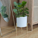 ARNIS Modern Planter Pots, Set of 2 Round Large Planters with Stand, Decorative Floor Planters, Metal Pots with Drainage Holes for Living Room, Office, Garden or Balcony, 8.25 &10.5 Inch, White & Gold by CozyNest Decor
