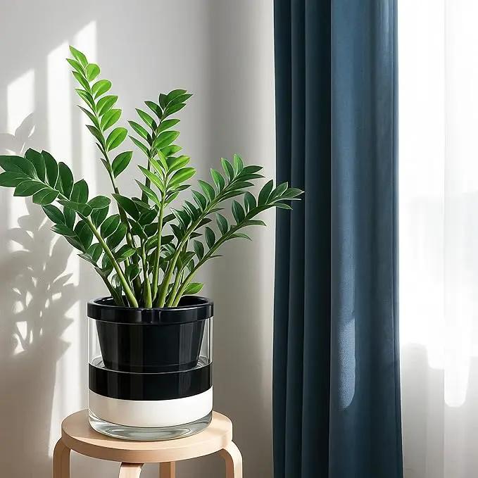 D'vine Dev 10 Inch Design Self Watering Planter for Indoor Plants, Black Terracotta Pot with Cylinder Glass Cup, 37-X-D-3, photo 2 of 7
