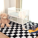 Super Soft Rug for Bedroom, 4x6 Ft Black and White Area Rug Classic Checkered Shaggy Anti-Skid High Pile Soft Fluffy Rug Fuzzy Carpet for Living Room Bedroom Kids Room Nursery, Dorm Home Decor by TinyTreasures Baby Boutique