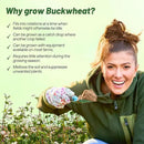 Outsidepride Buckwheat Seeds - 10lbs Annual, Fast-Growing, Easy to Grow Buckwheat Cover Crop Seeds for Green Manure, Bee Pasture & Pollinators, Wildlife Habitat, Soil Improvement, and Erosion Control by GreenHaven Gardens