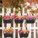 Foraineam 6 Pack Hanging Flower Pots, Metal Iron Hanging Planter Plant Pot Holders for Railing Fence Balcony, Black Hanging Bucket Pots Outdoor Porch Decors with Detachable Hooks and Drain Holes by GreenHaven Gardens