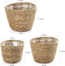 Athaliah Plant Basket, 3 PCS Plant Baskets Indoor with Plastic Liner, Water Hyacinth Woven Planters Flower Basket, Planter Basket for Rustic Boho Home Farmhouse Floor Potted Pots Decor by CozyNest Decor