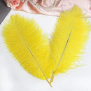THARAHT Yellow Ostrich Feathers 12pcs Large Natural Bulk 14-16Inch 35cm-40cm for Wedding Party Centerpieces Easter Gatsbi and Home Decoration Feathers by CozyNest Decor
