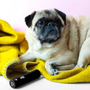 Flint Classic Black Retractable Mini Lint Roller with 90 Extra Sticky Sheets, Small and Portable Lint Roller, Ideal Pet Hair Remover, Travel Lint Rollers for pet Hair Extra Sticky by CozyNest Decor