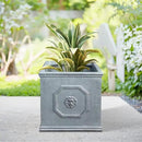 Kante Square Lion Head Concrete Planter, Classic English Style Plant Pot with Drainage Hole and Rubber Plug for Indoor Outdoor Garden Patio Home, 12.6"x12.6"x12.6" Gravel Gray by GreenHaven Gardens