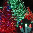 100 Count Red and Green - String Lights - 21.6FT LED Christmas Lights, Mini led Lights for Indoor Outdoor Home Holiday Party Wedding Independence Day Decoration by CozyNest Decor