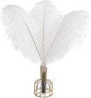THARAHT 12pcs White Ostrich Feathers Natural Bulk 14-16Inch 35cm-40cm for Wedding Party Centerpieces Easter Gatsby and Home Decorate Ostrich Feathers by CozyNest Decor