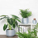 8 Inch + 6 Inch Ceramic Plant Pots Indoor with Drainage – Flower Pot Set, Decorative Indoor Planters for House Plants and Garden Use by CozyNest Decor