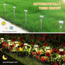 TWINSLUXES 16 Pack Solar Pathway Lights Outdoor Dual Light Source LED Solar Waterproof Pathway Lights for Garden Patio and Walkway Decoration Warm White. by GreenHaven Gardens