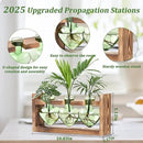 Lifecapido Heart Shaped Propagation Stations, Plant Terrarium with Wooden Stand, Plant Propagation Station for Hydroponics Office Garden Home Decor, Gifts for Women Plant Lover (3 Vases, Mint Green) by GreenHaven Gardens