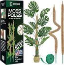 2 Pack 63'' Bendable Moss Pole Monstera Plant Support for Climbing Indoor Plants - Stakes for Potted Climbers - Tall Sticks Indoor Trellis for Houseplants - Accessories for Monstera Pot by GreenHaven Gardens