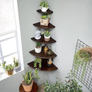 Corner Shelves, Floating Corner Shelf, Set of 2 Solid Oak Wood Wall Shelves, Round End Wall Mount with Wire Hole Shelving for Small Plant for Bedroom Kitchen, Living Room Walnut 8.7” by CozyNest Decor