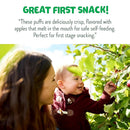 Little Bellies Organic Puffs Variety Pack, Blueberry & Apple and Cinnamon (Pack of 18) by TinyTreasures Baby Boutique
