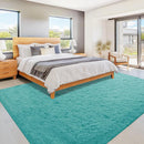 6x9 Area Rug for Living Room: Fluffy Shag Soft Washable Rugs Large Fuzzy Plush Indoor Carpet for Bedroom Nursery Playroom Kids Girls Boys Room (Teal Blue, 6'x9') by TinyTreasures Baby Boutique