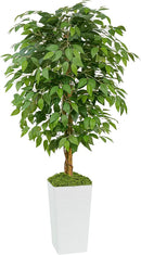 Artificial Ficus Tree 5FT Faux Floor Tree with Planter UV Resistant Potted Fake Silk Plant, Real Wood Trunk-Indoor Outdoor Lifelike Fake Ficus Tree for Home, Living Room Bedroom Topiary Tree by CozyNest Decor
