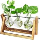 Ivolador I Plant Propagation Station, Bulb Plant Terrarium with Wooden Stand, Unique Gardening Gifts for Women, Hydroponic Indoor Planter, Home Office Garden Wedding Decor - 3 Bulb Glass Vases by GreenHaven Gardens