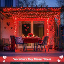 JMEXSUSS 2 Pack Red Solar Lights, Each 100 LED 33ft Valentine Solar Lights Outdoor, 8 Modes Christmas String Lights for Outside Valentine Day Tree Yard Decor by GreenHaven Gardens