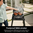Ninja | Grill & Smoker | Outdoor Woodfire Pro XL | 4 in 1 Grill, BBQ Smoker, Air Fryer & Bake | Portable | Includes Built in Thermometer & 2 Woodfire Pellet Packs | Dark Grey | OG850 by GreenHaven Gardens