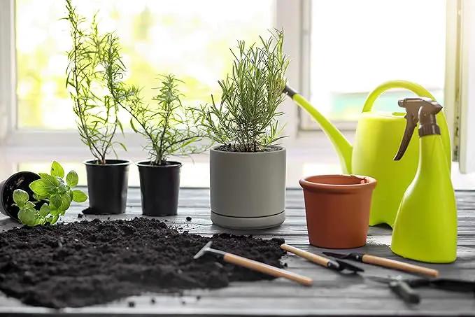 D'vine Dev Set of 4 Small Ceramic Plant Pots, 4.6 Inch Succulent Planter Pot for Plants with Drainage Hole and Saucer, Grey, 94-X-B-3, photo 2 of 7