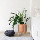 D'vine Dev Terracotta Planter with Natural Stand - 12 Inch Modern Round Flower Pot with Wood Planter Holder, Terracotta, 55-B-J-5 by CozyNest Decor