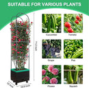Raised Garden Bed with Self Watering Garden Pots, Planter Box with Trellis for Climbing Plants Vegetable Vine Flowers, Tomato Cage Planter for Indoor Outdoor Yard Greenhouse Use by GreenHaven Gardens