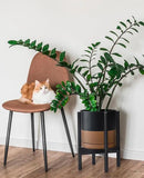 D'vine Dev Ceramic Planter with Ebony Stand - 10 Inch Modern Round Flower Pot with Wood Planter Holder, Black/Speckled Tan, 55-B-L-7 by GreenHaven Gardens
