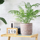 8 Inch + 6 Inch Plant Pot with Drainage Holes and Saucers, Indoor Ceramic Planter for Plants Succulent Orchid Flower Pots by CozyNest Decor