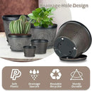 Quarut 4 Pack 8 Inch Flower Pots for Outdoor Indoor, Plastic Plant Pots with Drainage Hole & Saucer, Lightweight Small Flower Pot, Circle Pattern Planters for Garden House planters（Black Copper） by CozyNest Decor