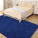 4x6 Blue Rug, Area Rugs for Living Room, Soft Plush Area Rugs for Bedroom, Non-Slip Indoor Carpet for Nursery, Study Room, Playroom, Home Decor by TinyTreasures Baby Boutique