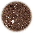 Premium Dracaena Potting Soil Mix - (1 Quart Bag) by GreenHaven Gardens
